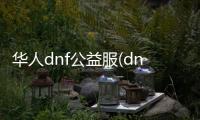 华人dnf公益服(dnf公益服网站)
