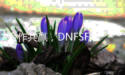 合作共赢，DNFSF推广平台助力