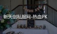 新天剑私服网-热血PK，畅享江湖