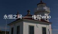 永恒之网——传世woool网站