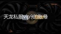 天龙私服vip9的账号需要花多少钱,探究天龙私服VIP9账号价格