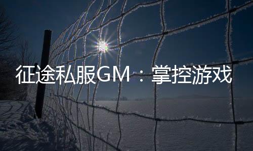 征途私服GM：掌控游戏世界