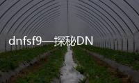 dnfsf9—探秘DNFSF9：揭开神秘面纱的科技奇迹